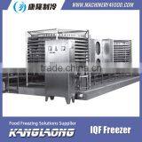 Large Capacity Large Industrial Freezer Made In China thumbnail-4
