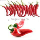 FP-05 High-speed Tiangang Food Griding Machine Chili Pepper Special Maker Paste thumbnail-4