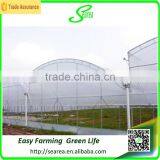 Low Cost Greenhouses Used Greenhouse thumbnail-3