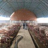 200mic, Single Span PE Greenhouse Film for Poultry Cultivation thumbnail-1