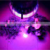 12w Advanced Spectrum Led Grow Light,MAX DUAL BAND 1w-Chip LED Grow Bulb,led Grow Light for Flower Crops thumbnail-2