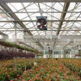 Greenhouse Kits- 2 thumbnail-3