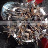 Wholesale Dried Cricket for Pet Food thumbnail-3