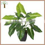 Artificial Calla Bush Bonsai thumbnail-1