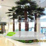 GNW APM033 Decorative Artificial Palm Tree 13ft High Indoor Outdoor Decoration Use For Sale thumbnail-6