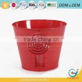 6 Inch Planters for Garden Plants Wide Shallow Plant Pots thumbnail-4