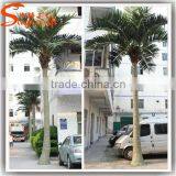 Factory Hot Sale Process Outdoor Artificial Palm Tree,coconut Palm Trees, Simulation Palm Coconut Tree thumbnail-4