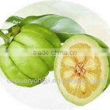 Pure Garcinia Cambogia Fruit Extract