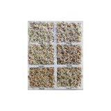 Tufted Carpet(wall to Wall Carpet) thumbnail-1