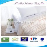 100% Polyester Hot Sale Warm Cozy Micro Soft Fabric Home Textile China Factory Solid Coral Fleece Glossy Household Blankets