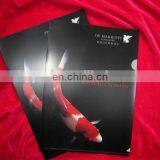 Fashional Factory Price Colored Plastic Folders for Document thumbnail-2