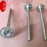 External Wall Metal Insulation Nail High Quality Wall Insulation Nail External Use of Engineering Insulation Nails thumbnail-5