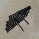 Hot Sale Black Galvanized Nails Black High Hardness Nail Black Nails for Construction thumbnail-5