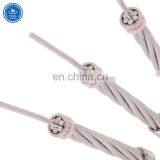 TDDL AAAC Conductor-all Aluminum Alloy Conductor ASTM B399 Azusa Willow Fir Almond Ash thumbnail-6