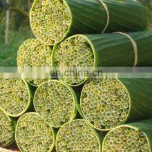 100% Natural Eco Friendly Grass Drinking Straws/ Biodegradable Grass Drinking Straws Best Price From Vietnam thumbnail-5