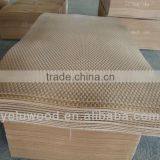Factory of Embossed Hardboard 3mm