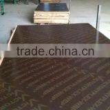 Film Faced Plywood ,plywood,black Film Faced Plywood,black Blue Film thumbnail-2