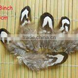 Wholesale Diy Feather Decorative Craft Feather thumbnail-3