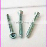 Phillips Round Head Self Tapping Screw