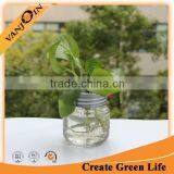 8oz Mason Jar With Wire Frog Lid thumbnail-1