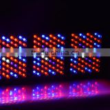 High Power 1000W Full Spectrum LED Grow Lights For Hydroponic Aquaponic Plant Growing