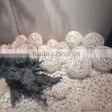 Wholesale Factory Price Wood Trunk Window Display Props thumbnail-6