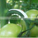 Plastic Plant Clip thumbnail-1