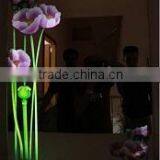 Navado Viet Nam Company Limited company overview - view 2 thumbnail