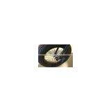 20'' 4.0 Mini Fat Tire Folding Electric Mountain Bike ( HJ-F25 ) thumbnail-4