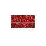 Chinese Dried Chili/chili Peppers,American Red Chili thumbnail-4