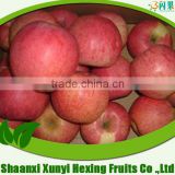 Chinese China fresh 100,113,125 red green yummy qinguan apple to india nigeria