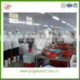 Wholesale Hot Sale Shandong Bulk Healthy Fruit 25-35mm Frozen IQF Fresh Strawberry thumbnail-4