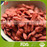 Manufacturer Wholesale Top Quality Chinese Organic Red Goji Berries/red Wolfberry/red Medlar thumbnail-3