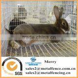 1/4X1/4 Inch 304 Staniless Steel Welded Mesh 14 Gauge Rabbit Cage Floor Mesh thumbnail-1
