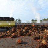 New Generation High Production Zhengzhou Qi'e Palm Oil Processing Equipment With CE