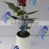 Chinese Porcelain Vases thumbnail-6