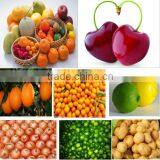 Fruit Cleaning Equipment/industrial Fruit Washer thumbnail-6