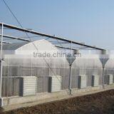 Cheap Multi-span Plastic Greenhouse for Fruits thumbnail-5