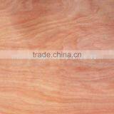 Linyi Grade a b c No Pin 0.28mm 4'x8' Okoume Face Veneer for India Plywood thumbnail-1