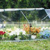 Growhouse and Multi Cloche Range for Flower and Plant thumbnail-2