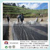 50gsm Black 48'' Non-woven Small Roll Used to Prevent the Weeds , Weed Mat thumbnail-6