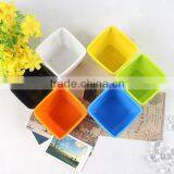 Home Design Colored Small Plastic Rectangular Planters thumbnail-2