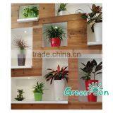 Plastic Pot,plastic Plant Pot,flower Pots Colorful Plastic Flower Pots thumbnail-4