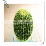 SJM091039 Top quality 100% natural hoodia decoration artificial cactus P.E.