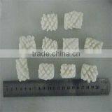 Peru Giant Squid/seafood on Line thumbnail-1