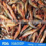 HL002 Wild Catch Fresh Whole Round Shrimp thumbnail-5