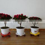 Moving Plastic Plant Dolly With Wheels thumbnail-3