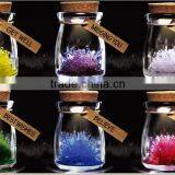 Wishing Bottle With LED Light LS Eplus