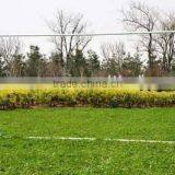 Portablel Size Soccer Goal thumbnail-1