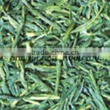 Sencha-Steamed Green Tea-Fresh thumbnail-1